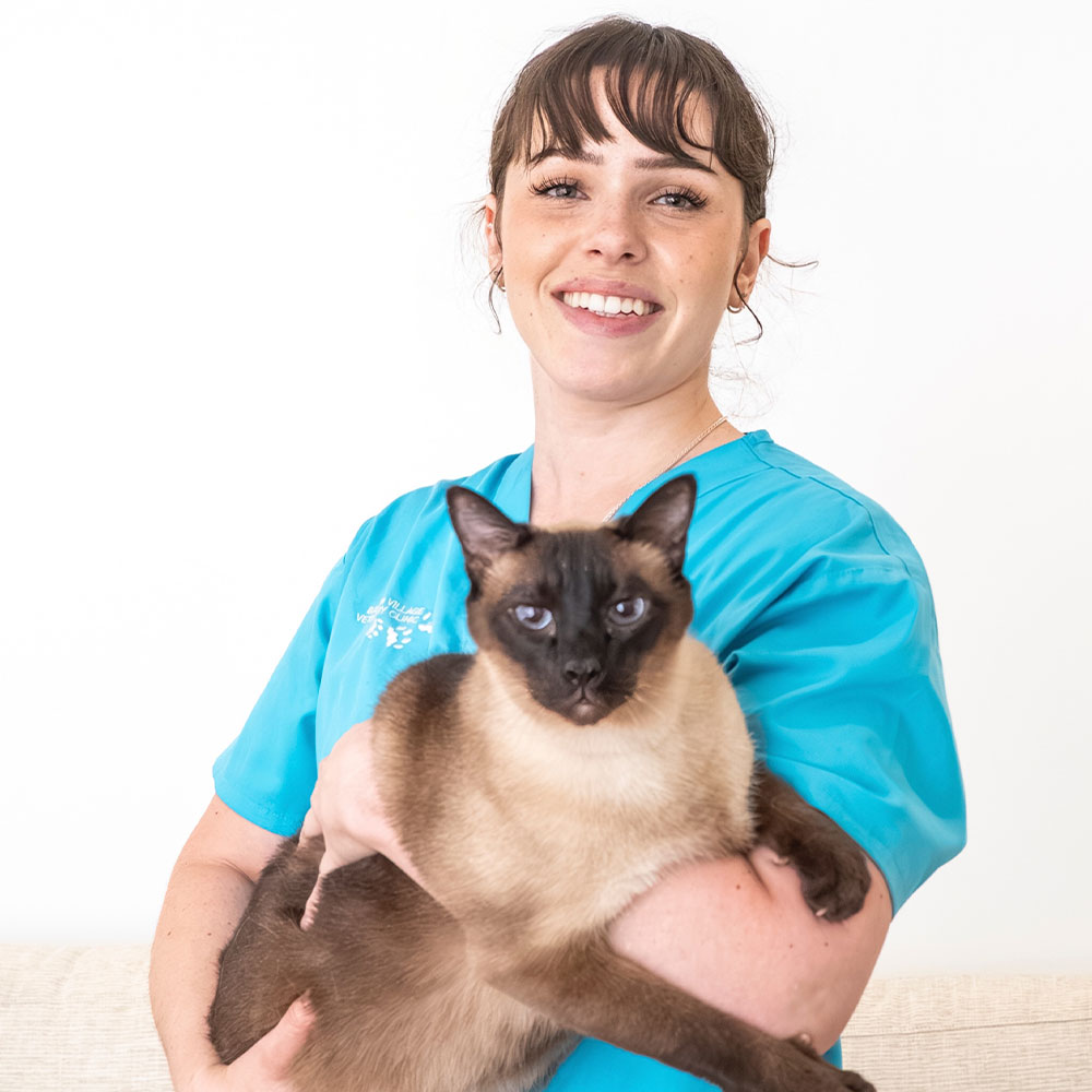 Balmain Village Vet - Meet Our Team - Allegra