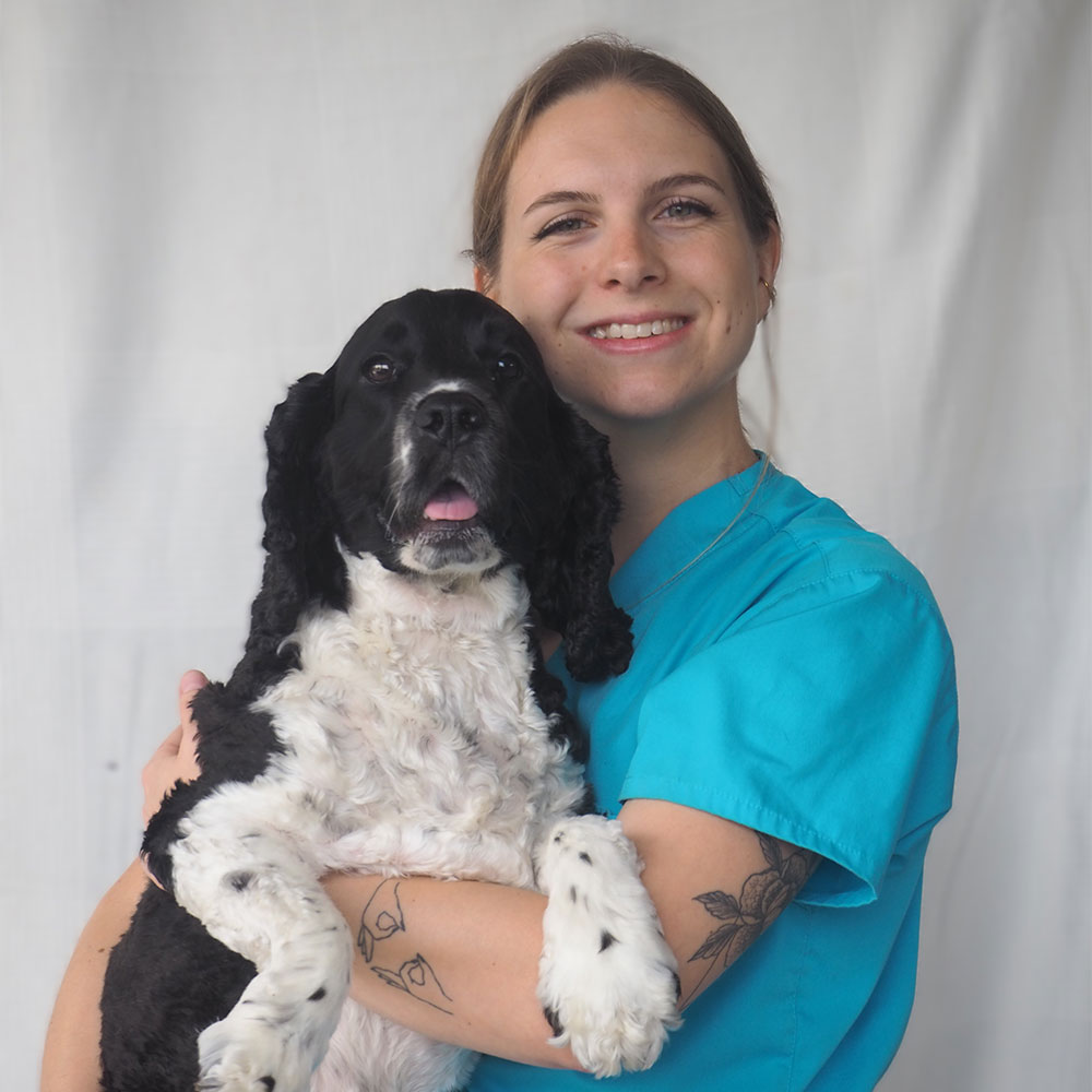 Balmain Village Vet - Meet Our Team - Diana