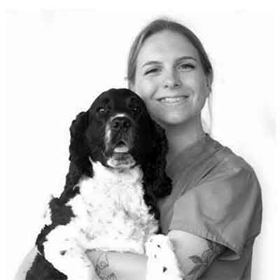 Balmain Village Vet - Meet Our Team - Diana