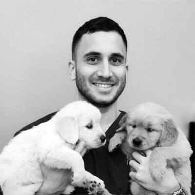Balmain Village Vet - Meet Our Team - Dr Gary Jocum