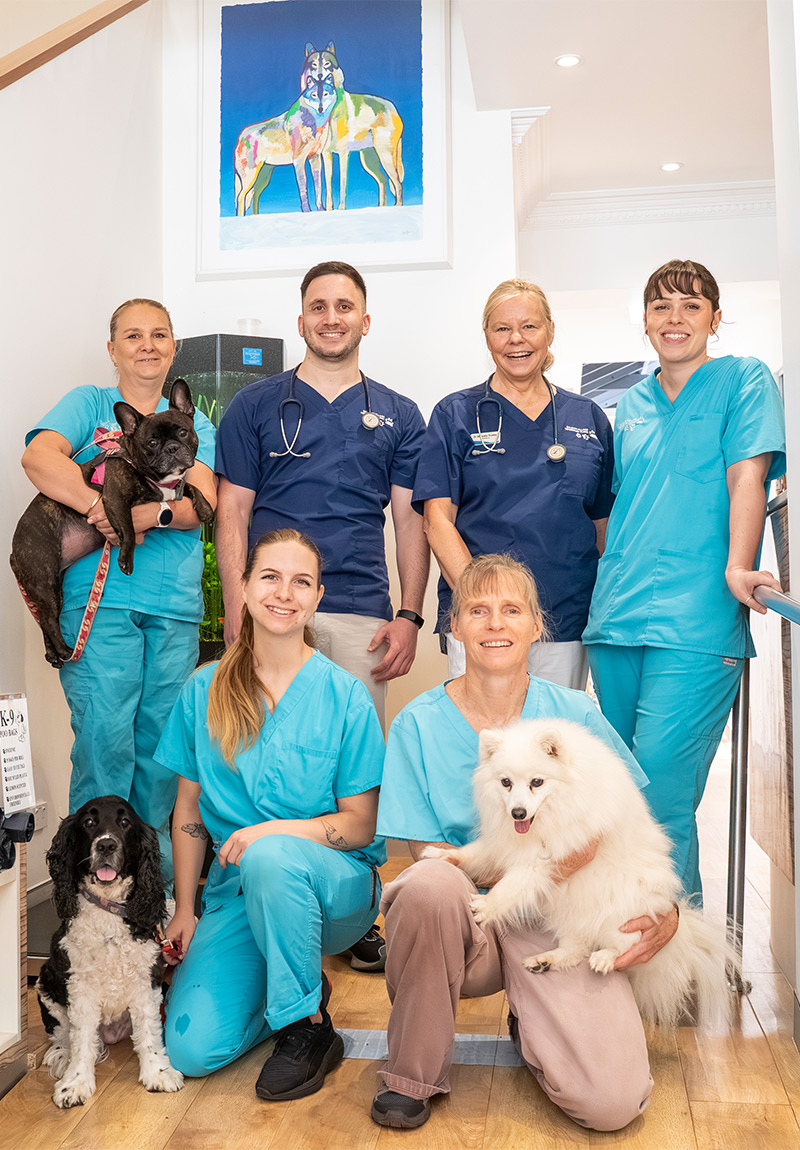Balmain Village Vet 