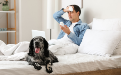 What should you do with your pet when you’ve got a cold or the flu?