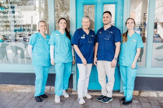 Balmain Village Vet - Meet our Team photo