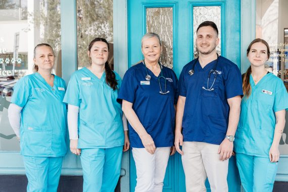 Balmain Village Vet - Our Team