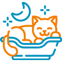 Balmain Village Vet - Balmain Cat Hotel