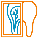 Balmain Village Vet - Pet Dental X-Rays Sydney
