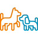 Balmain Village Vet - Puppy Socialisation