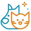Balmain Village Vet - Senior Pet Care