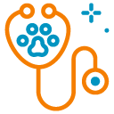 Balmain Village Vet Clinic - Veterinary Services
